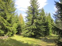 33. Be-2012-05-12-IMG 1588.JPG