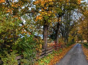 Beck Askjumgutua.JPG