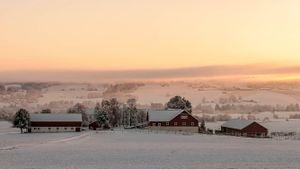 Beck Fodstad vinter.jpg