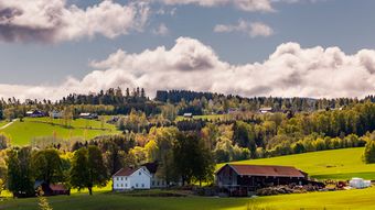 Beck Ner-Skjefstad.jpg