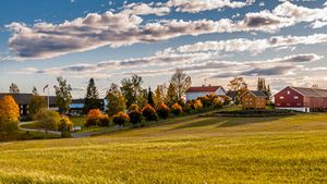 Beck Steffensrud.jpg