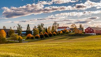 Beck Steffensrud.jpg