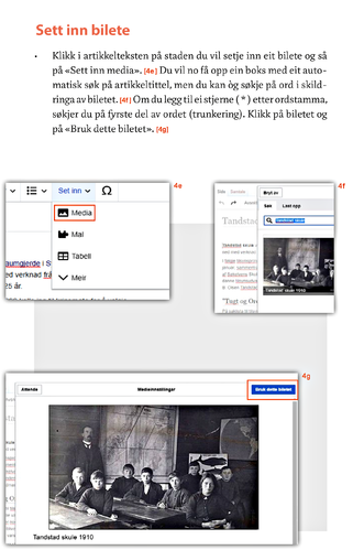 Begynnar 6 bilete.png