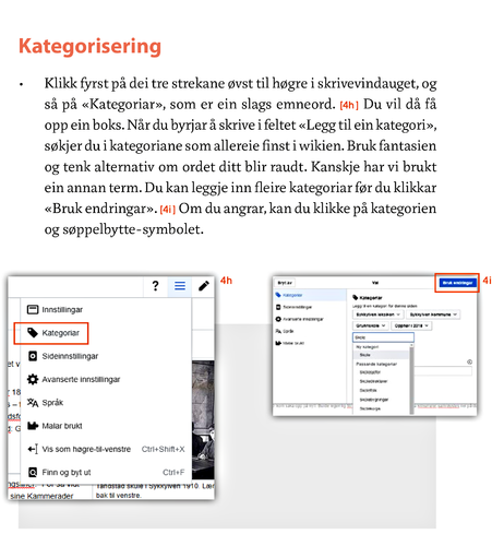 Begynnar 7 kategoriar.png