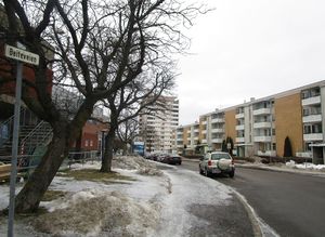 Beiteveien Oslo 2015.jpg