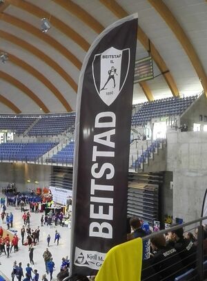 Beitstad Opplandspokalen 2016.jpg