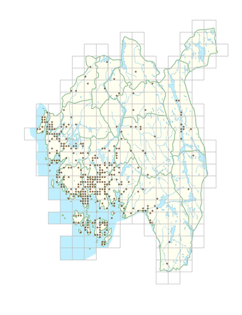 Berberis thunbergii 1.png