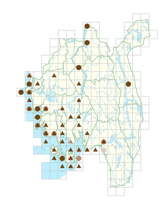 Berberis vulgaris.png