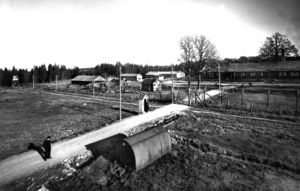 Berg interneringsleir 1945.jpg