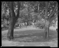 475. Bergen - no-nb digifoto 20151106 00007 NB MIT FNR 06602.jpg