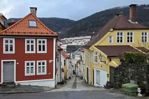 Bergen Cort Piil-smauet 260330.jpg