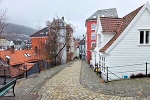 Bergen Dragefjellsbakken 260329.jpg