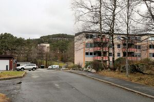 Bergen Flatevad 260331.JPG