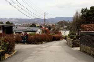 Bergen Haukeberget 260331.JPG