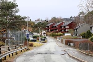 Bergen Haukedalsbotn 260331.JPG