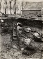 210. Bergenhus, Hordaland - Riksantikvaren-T248 02 0806.jpg