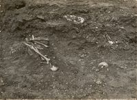 219. Bergenhus, Hordaland - Riksantikvaren-T248 02 0815.jpg