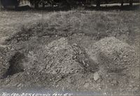 241. Bergenhus, Hordaland - Riksantikvaren-T248 02 0844.jpg