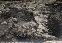 243. Bergenhus, Hordaland - Riksantikvaren-T248 02 0846.jpg