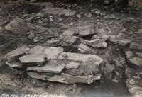 253. Bergenhus, Hordaland - Riksantikvaren-T248 02 0856.jpg