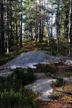 Berggrunn Loerenskog LL067.jpg