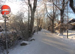 Bergsalléen Oslo 2014.jpg