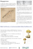 Bergsgruvene - skilt 1.jpg