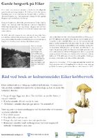 Bergsgruvene - skilt 2.jpg