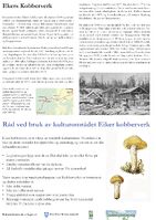 Bergsgruvene - skilt 3.jpg