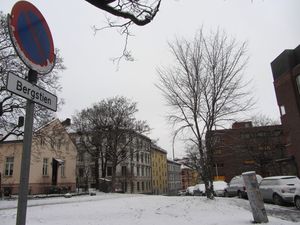 Bergstien Oslo januar 2014.jpg