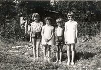 456. Bergstua IV 1960.jpg