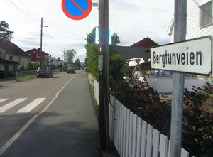 Bergtunveien Oslo 2014.jpg