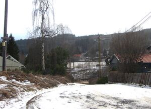 Bernsgutua Østre Toten 2014.jpg