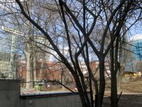 185. Bervens løkke Oslo 2013.jpg