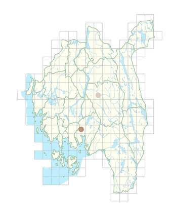 Beta vulgaris subsp. vulgaris.png