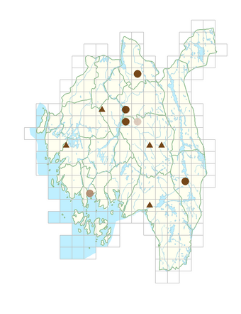 Betonica macrantha.png