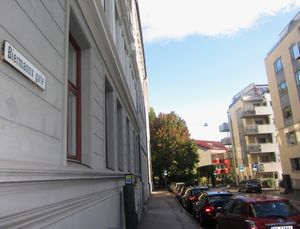 Biermanns gate Oslo 2013.jpg