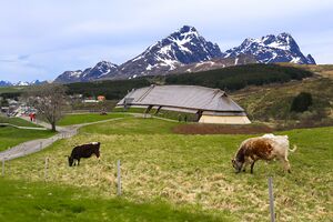 Bilde av lofotr vikingmuseum.jpeg