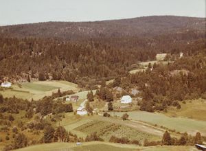 Bingen - Skotselv WF427.jpg