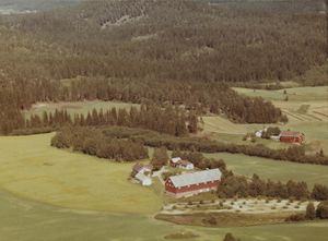 Bingen - Skotselv WF493.jpg