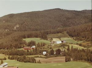 Bingen - gårder WF481.jpg