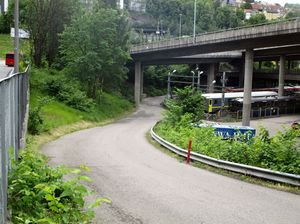 Birkebeingata Oslo 2015.jpg