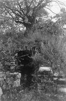 9. Bispeborgen, Hamarkaupangen, Hedmark - Riksantikvaren-T095 01 0273.jpg