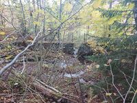 Fra demningen ved Kastet, hvor bresjen i muren er synlig. Foto: Pål Giørtz (2023).