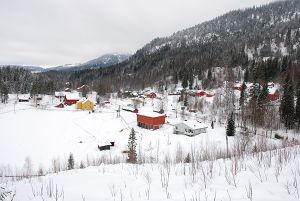 Bjørgeseter sentrum.jpg