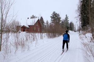 Bjørndal lysløype 140201.jpg