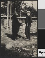 383. Bjørner i dyrehage - no-nb digifoto 20160411 00247 bldsa EYDE 5 5 og 6 118.jpg