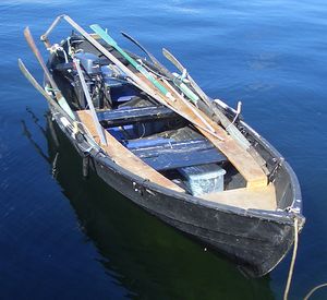 Bjørnevik - til register.jpg