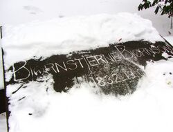 Bjørnstjerne Bjørnson (1832–1910), Vår Frelsers gravlund. Foto: Stig Rune Pedersen (2012).