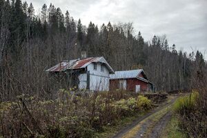 Bjørumdalen 191103.jpg